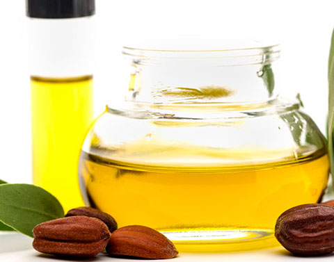 保養當道，珍貴有理的荷荷芭油