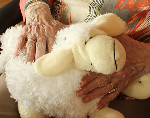 精油與芳療：在症狀緩解中的意義