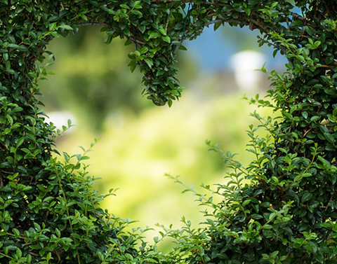 精油流淌於我的血脈——玥晴的芳療講師之路