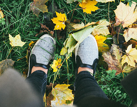 精油初學者的重要須知．答錯了！只能羞愧的低下頭呀．