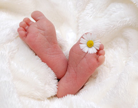 精油與芳療：在症狀緩解中的意義