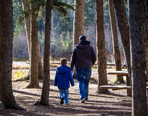 深根人心的精油