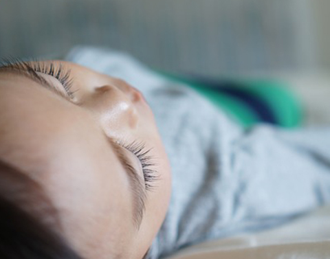 做夢吧，在香氣中遇見夢境