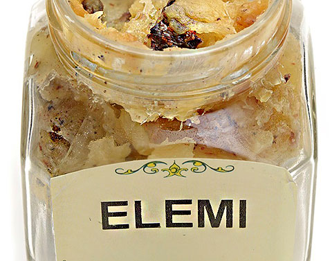 步步踏實的旅者－欖香脂