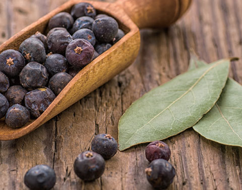 心疼孩子過敏嗎？用澳洲尤加利和檜木對抗塵螨吧 ：杜松能促進體液的循環和減緩發炎，對於空氣的殺菌作用也很顯著