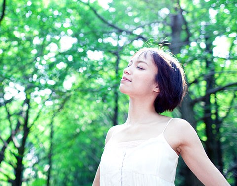 面對內心恐懼的薄荷尤加利